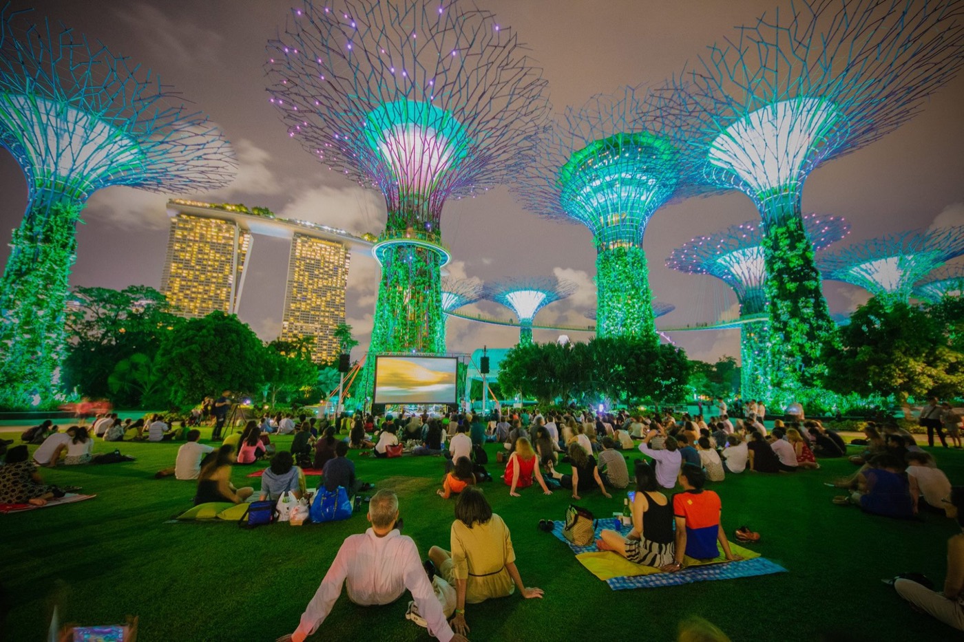 Supertree Grove về đêm